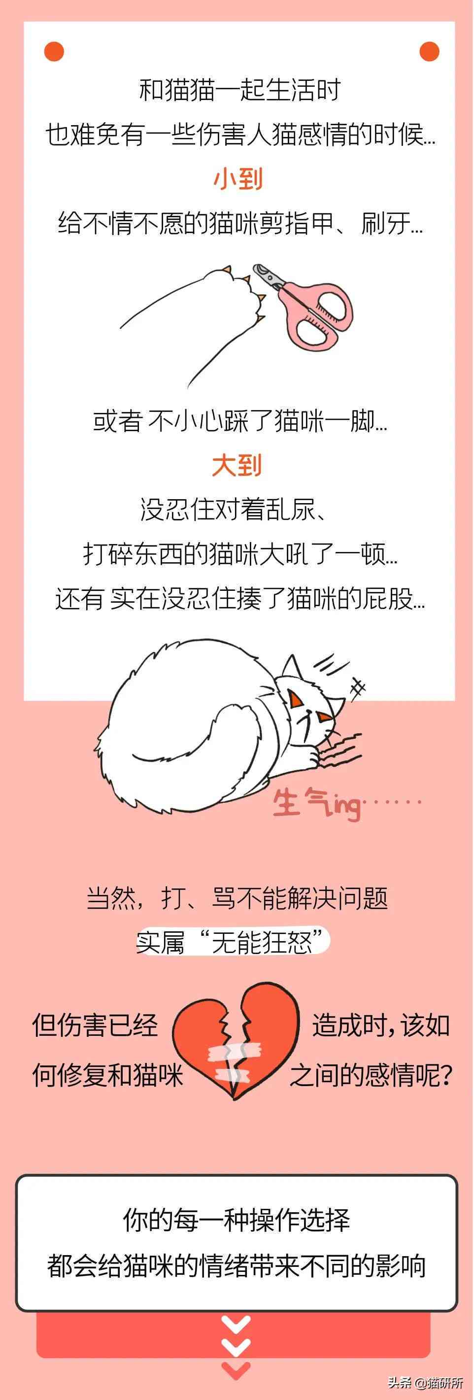 猫咪ai故事脚本