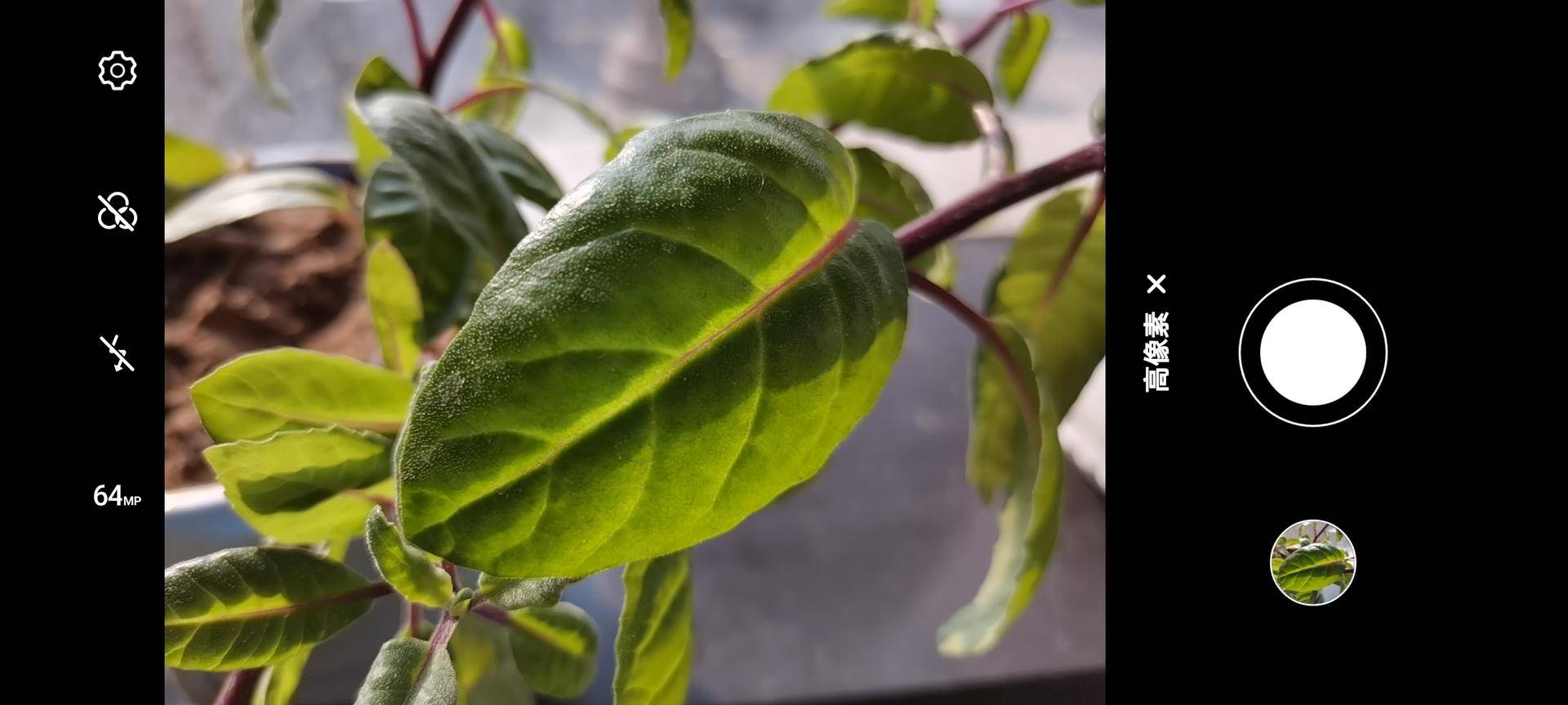 ai花拍照文案