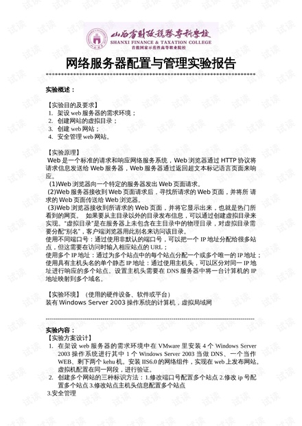 ai项目实验报告心得体会