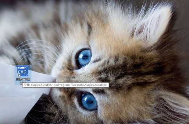 ai一键绘画猫咪文案
