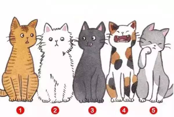 ai一键绘画猫咪文案