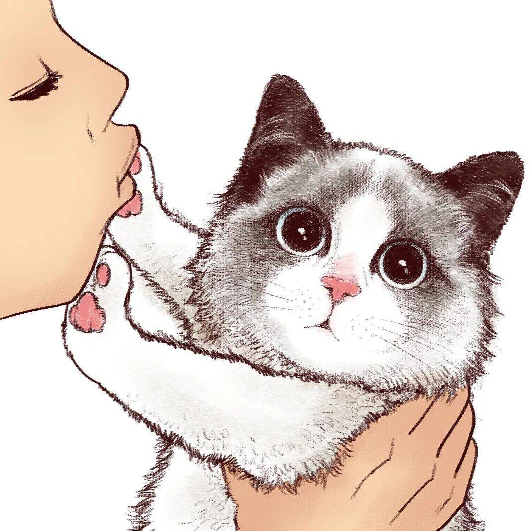 ai一键绘画猫咪文案