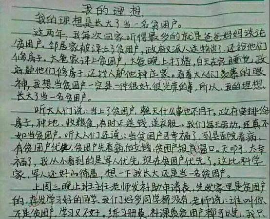 理想l6ai写作文