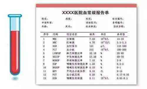 血液检查报告AI是什么