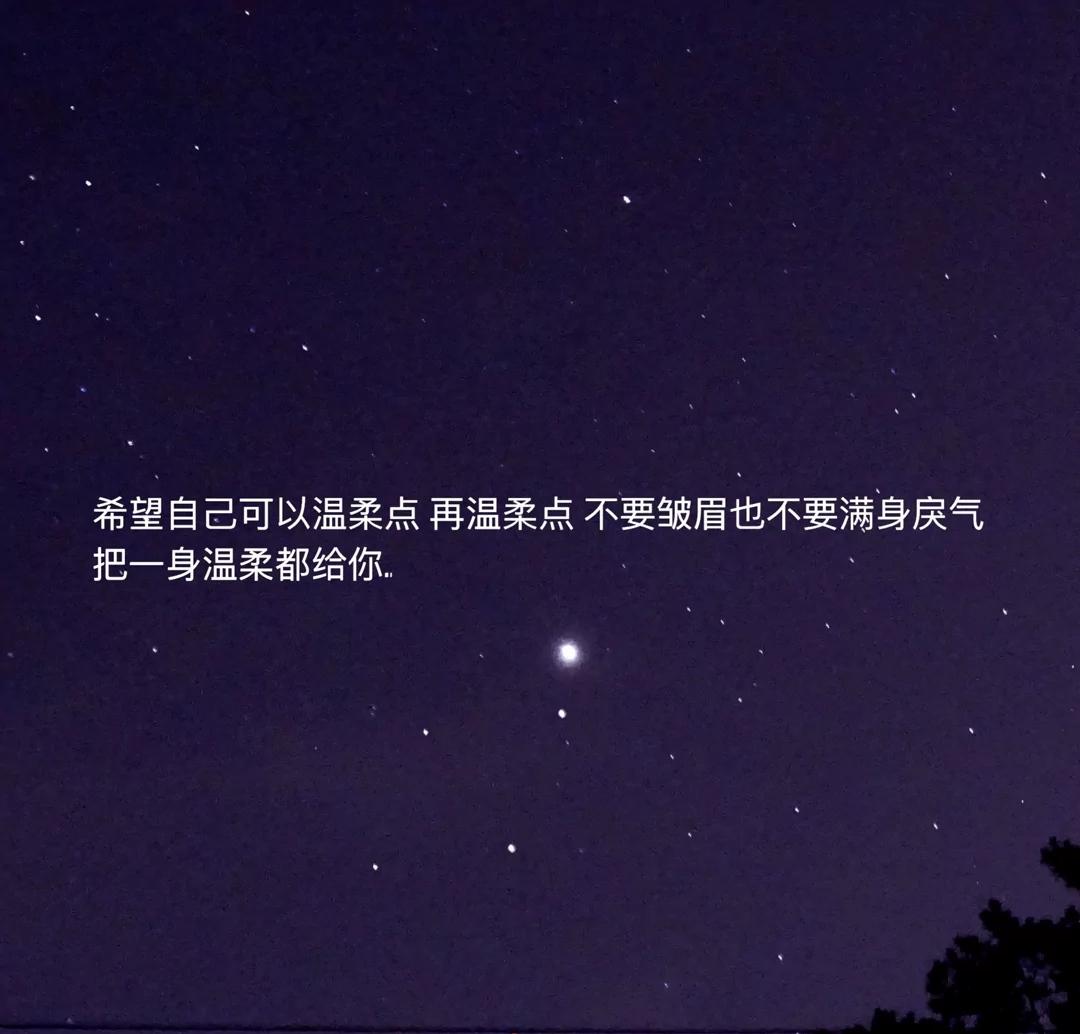 闪闪ai自动匹配文案在哪