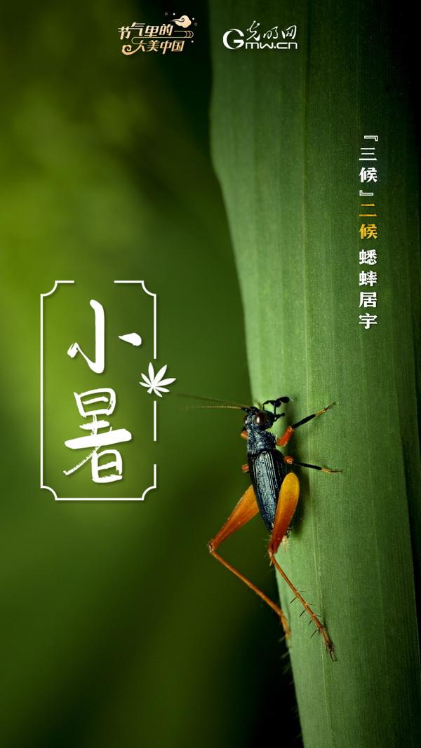 蝉选ai文案在哪里