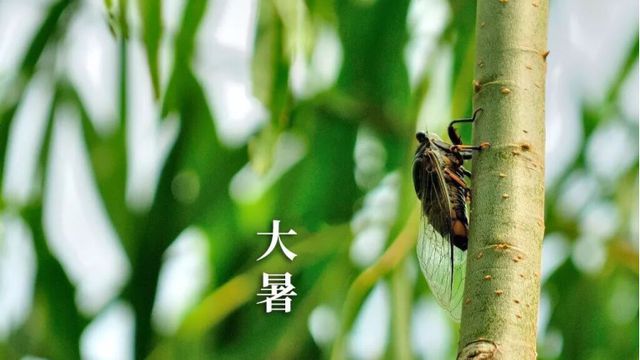 蝉选ai文案在哪里