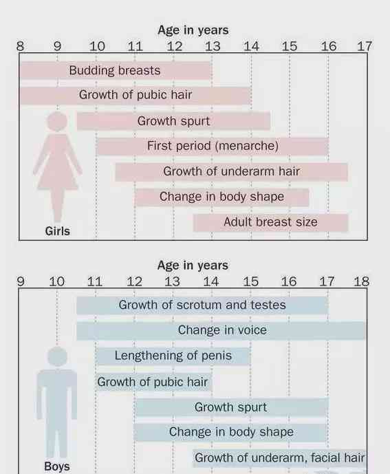 女孩成长轨迹：从稚嫩孩到智慧女性的蜕变历程