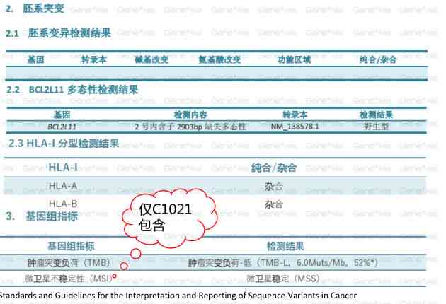 '深入解析：AI检验报告的含义与功能解析'