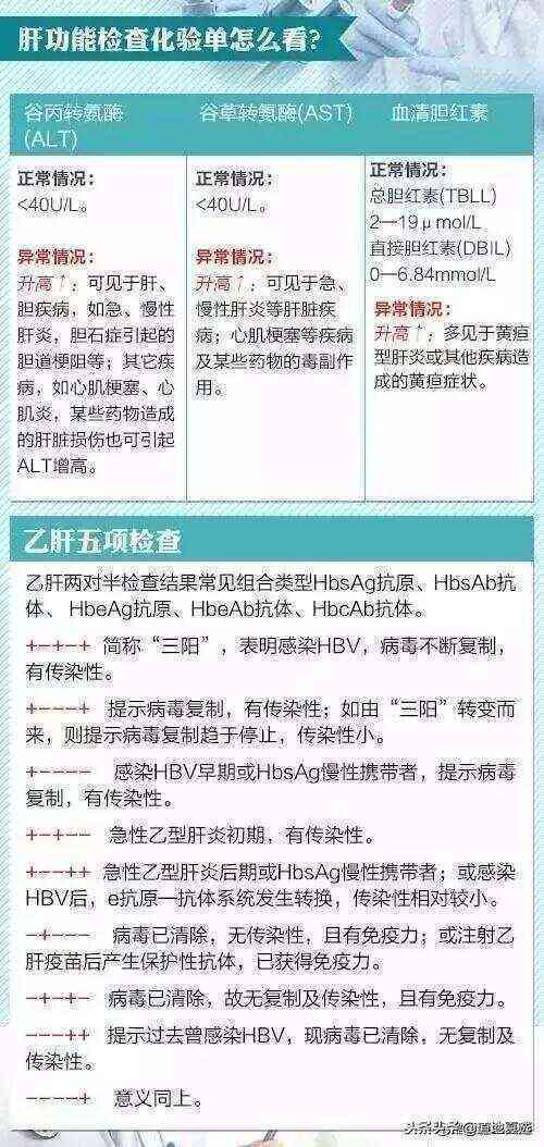 全面解读检查报告A的含义与常见问题解析