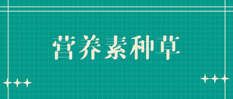 掌握阿里妈妈AI智能文案技巧：轻松打造小红书爆款内容