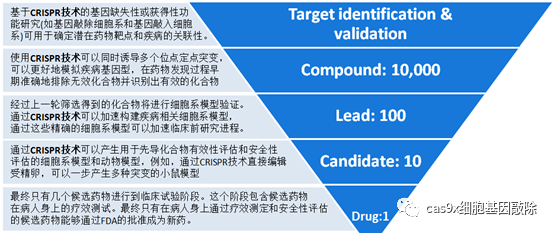 AI在研发中的应用：加速新药发现与优化全程解析