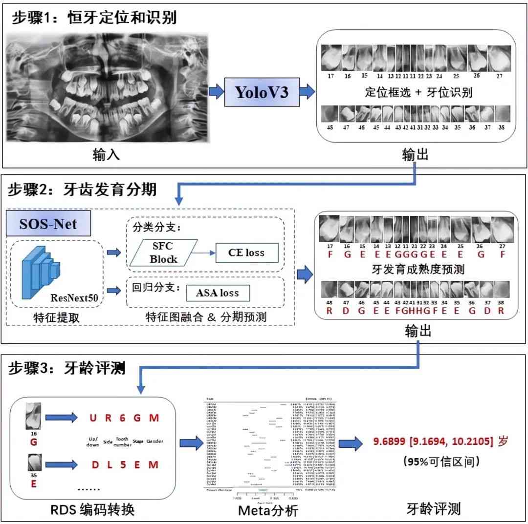 口腔正畸大数据分析与智能矫正策略研究