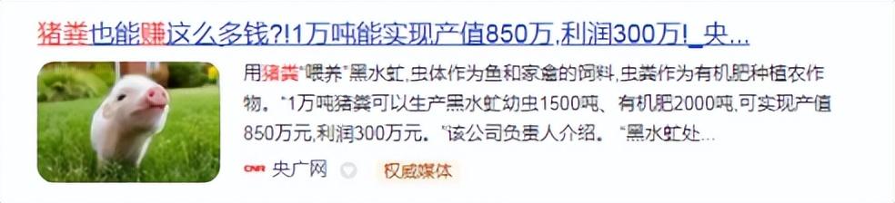 如何写作文检讨：300字至500字详解与实践