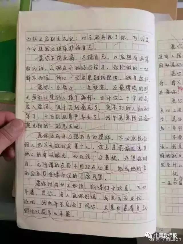 瀛绾之韵：浣洗心灵专用作文纸