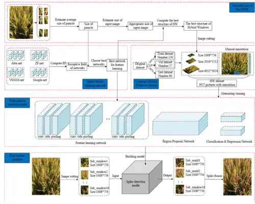 AI生成稻田景观描述文案大全：涵创意撰写、关键词优化与用户需求解析