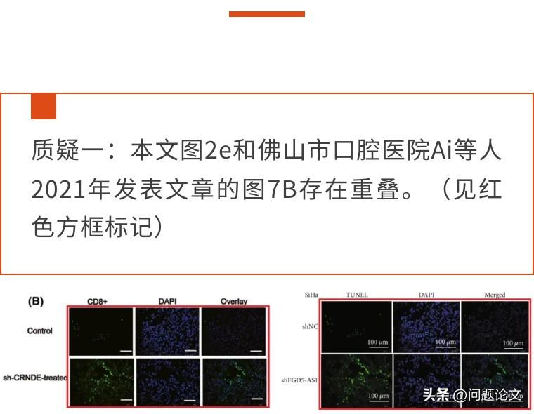 ai创作的作文查重会查出来吗