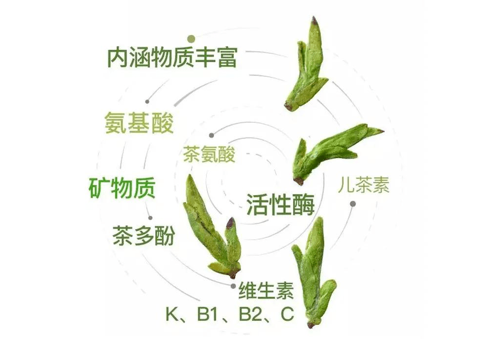 茶叶文案短句：干净治愈，朋友圈专用，幽默搞笑集锦