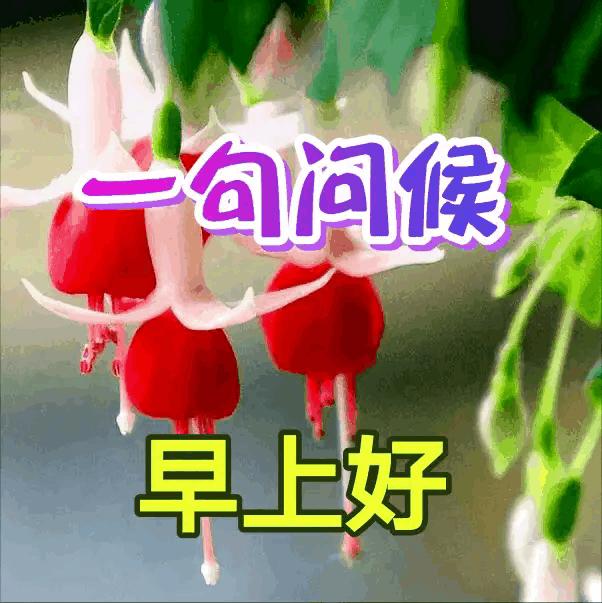 心语情深：爱情文案创作助手