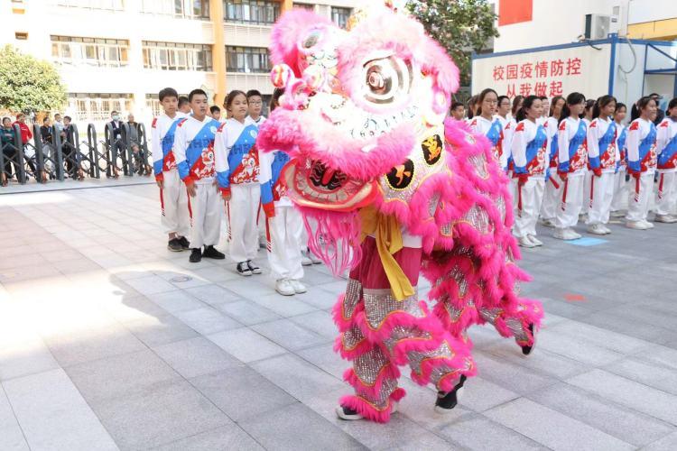 无法AI跳绳训练报告的解决方法与完整指南