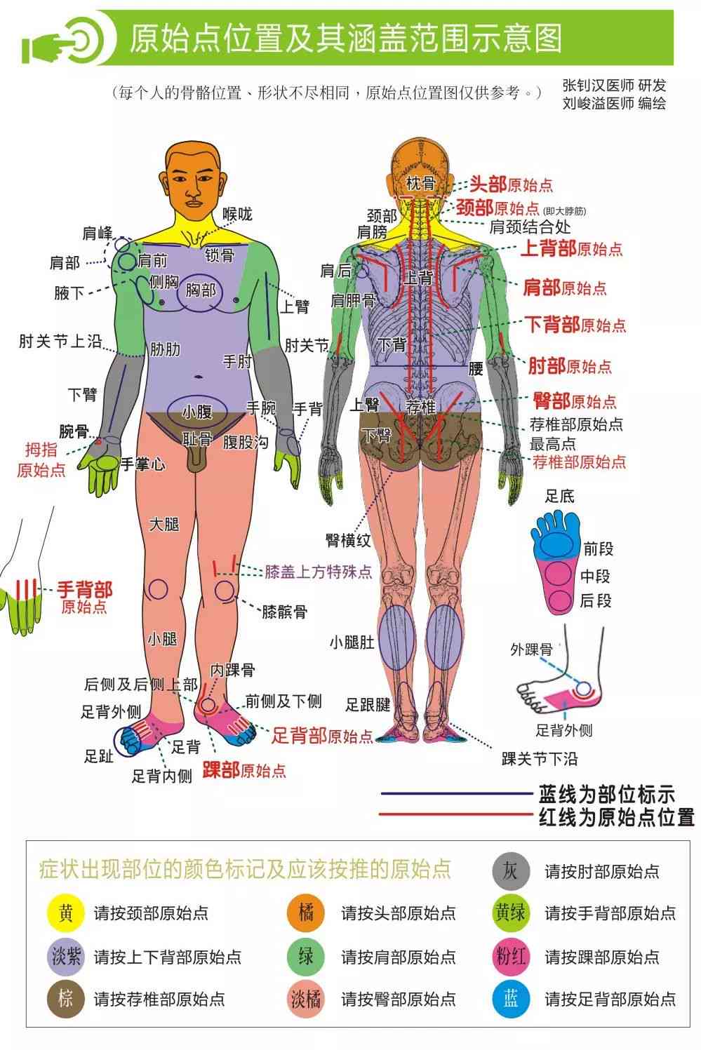 全面收录：原始点疗法真实案例解析与效果评估