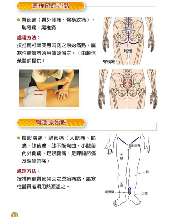 全面收录：原始点疗法真实案例解析与效果评估