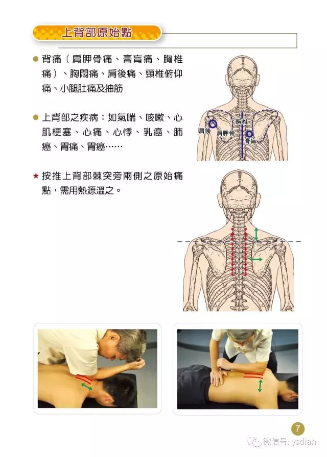 全面收录：原始点疗法真实案例解析与效果评估