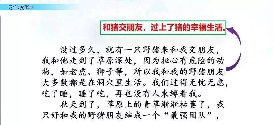 作业帮如何进行写作文：辅导与教学全解析