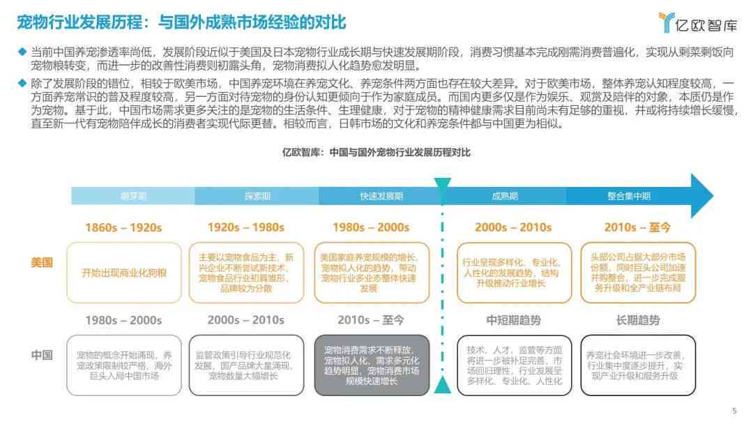 全面数据挖掘分析与报告：深入洞察、关键趋势与实战应用解析