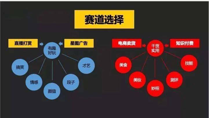 全方位抖音内容创作助手：AI智能文案生成工具，轻松提升视频吸引力