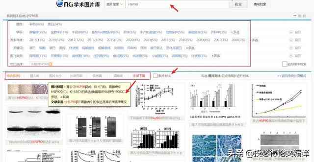 论文查重写作助手：软件 小助手 知网查重集成工具