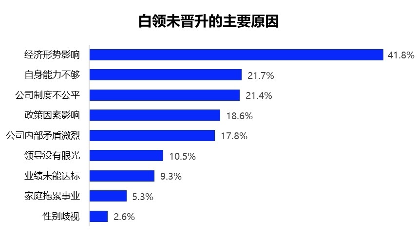 全方位职业规划写作指南：涵求职、晋升与个人发展策略