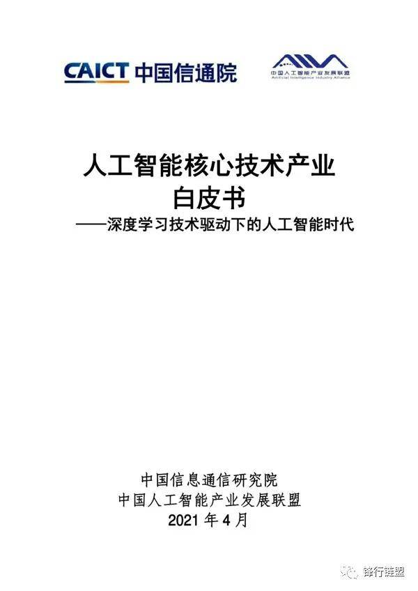 人工智能项目技术实与成果概述报告