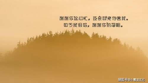 心灵疗愈：情感语录精选与深度解读，全面解答情感困惑与心灵成长相关问题