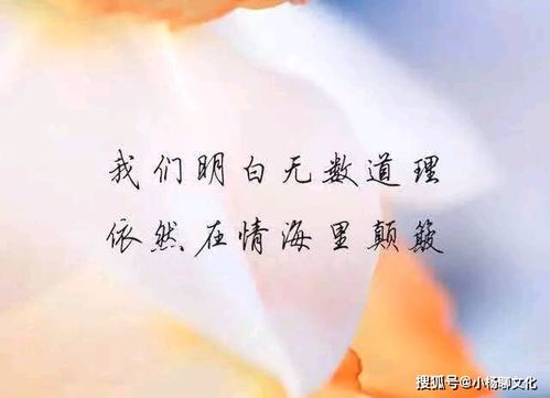 心灵疗愈：情感语录精选与深度解读，全面解答情感困惑与心灵成长相关问题