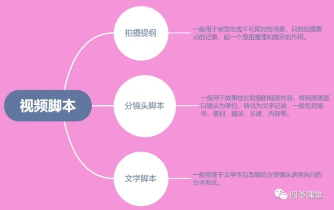 全面指南：抖音脚本创作技巧与实用案例解析