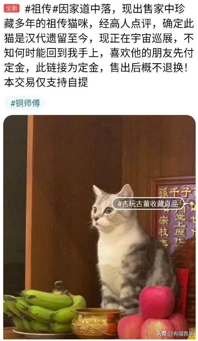 怎么编辑闲鱼文案比较吸引人：闲鱼如何撰写吸引眼球的文案？