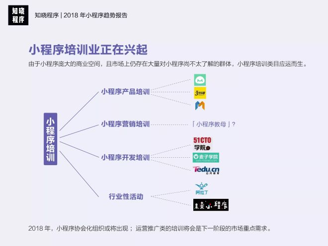 揭秘小程序开发者：全面解析小程序开发者的命名惯与行业趋势