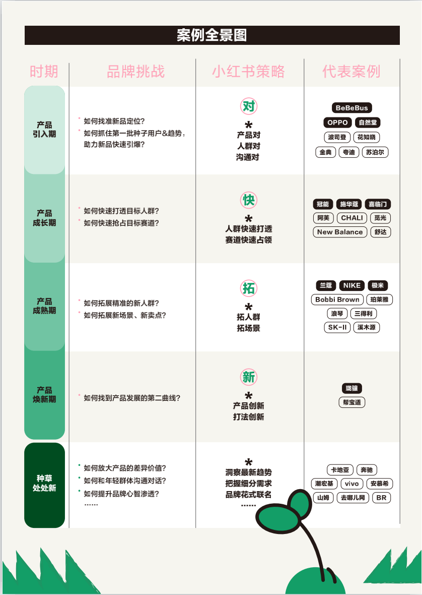 小红书案例：深度分析及PPT报告论文集成研究