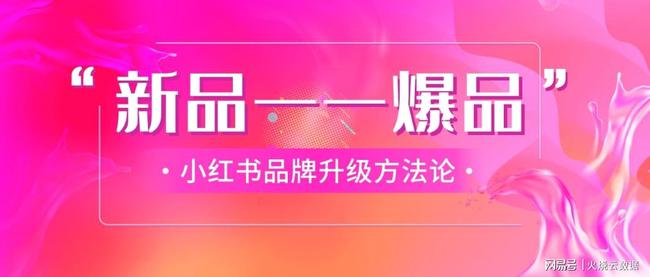 小红书案例：深度分析及PPT报告论文集成研究