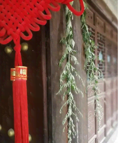 粽香四溢：细品画粽子之美篇