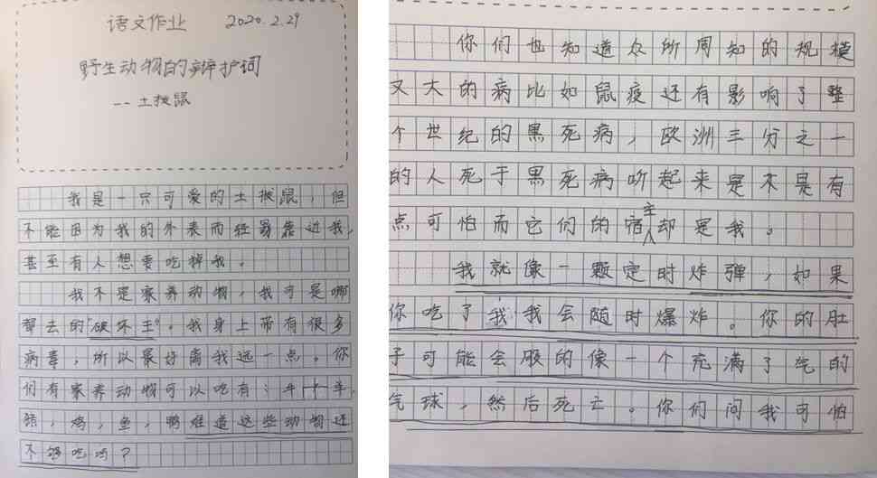 土豆的写作：一年级如何按顺序写250字作文指导
