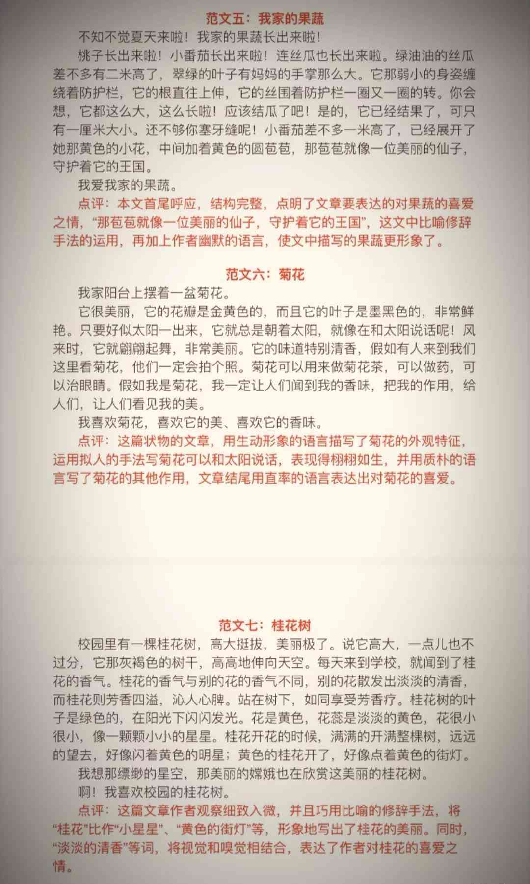 全面解析：土豆范文写作指南与实用技巧汇编