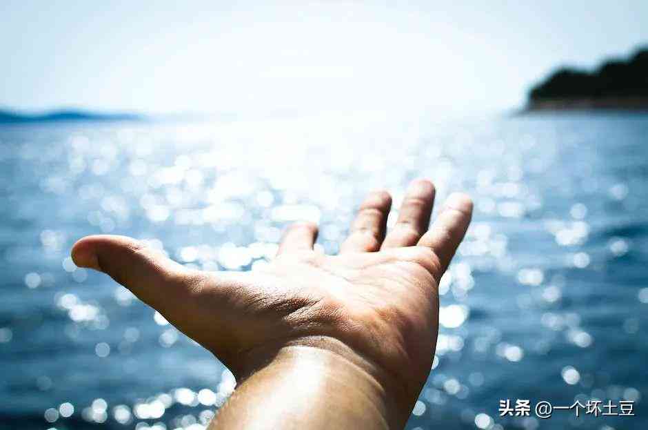 土豆作文600字：涵300字、500字、600字以上不同篇幅
