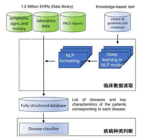 AI 医疗影像：从诊断辅助到流程优化，上市公司及行业龙头引领识别技术革新