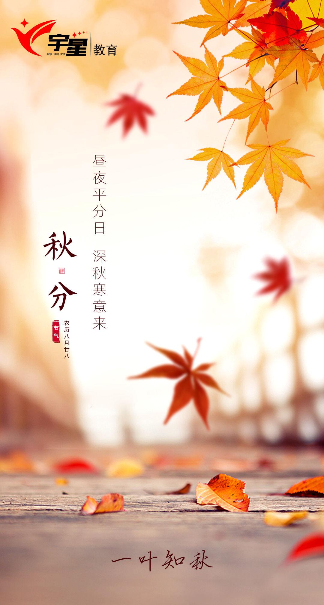 全方位探索：2023年AI文案撰写工具盘点与高效应用指南
