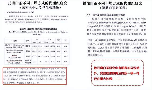 格子达查重偏高还是偏低：对比同行论文原创性与引用标准差异分析