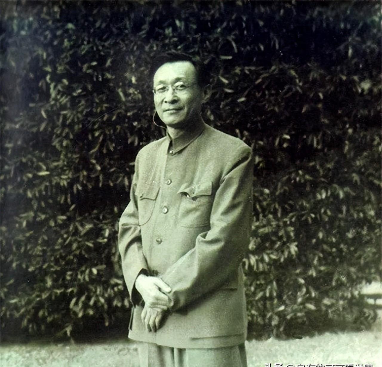 AI智能文案重构与优化助手