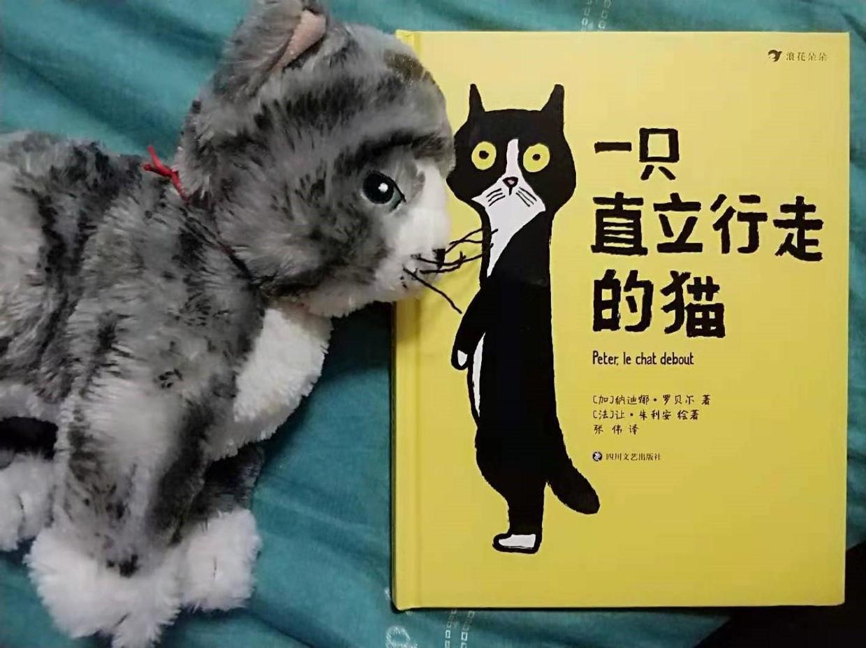 猫咪创作助手：如何高效发布个性化模版教程