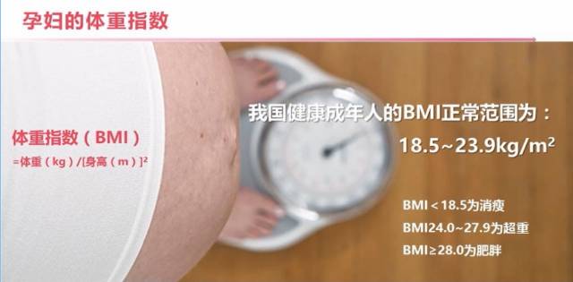 医院产检报告解读：全面解析孕检结果与胎儿健康状况